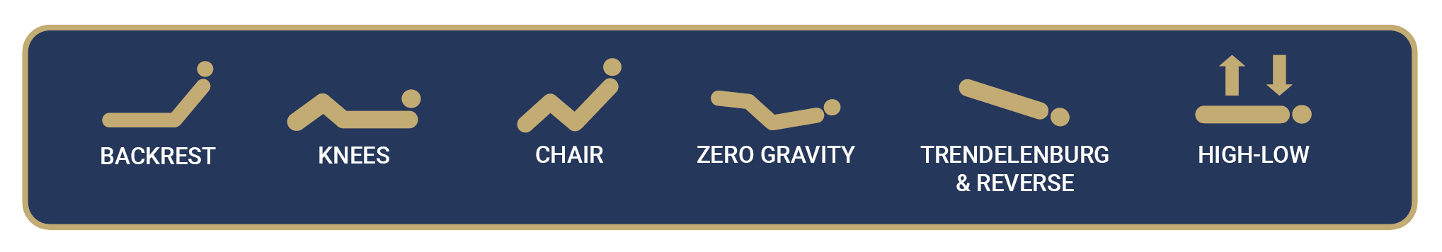 Icons depicting six positions of a hospital bed: backrest, knees, chair, zero gravity, Trendelenburg and reverse Trendelenburg, with high-low adjustment.